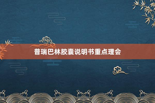 普瑞巴林胶囊说明书重点理会